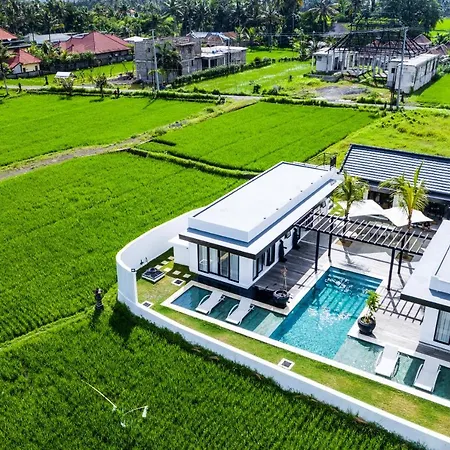 Amazing 3Br Villa In The Middle Of Ricefields